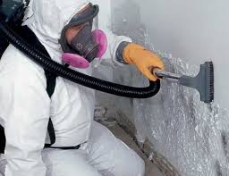 Biohazard Mold Removal in Hartford, AL